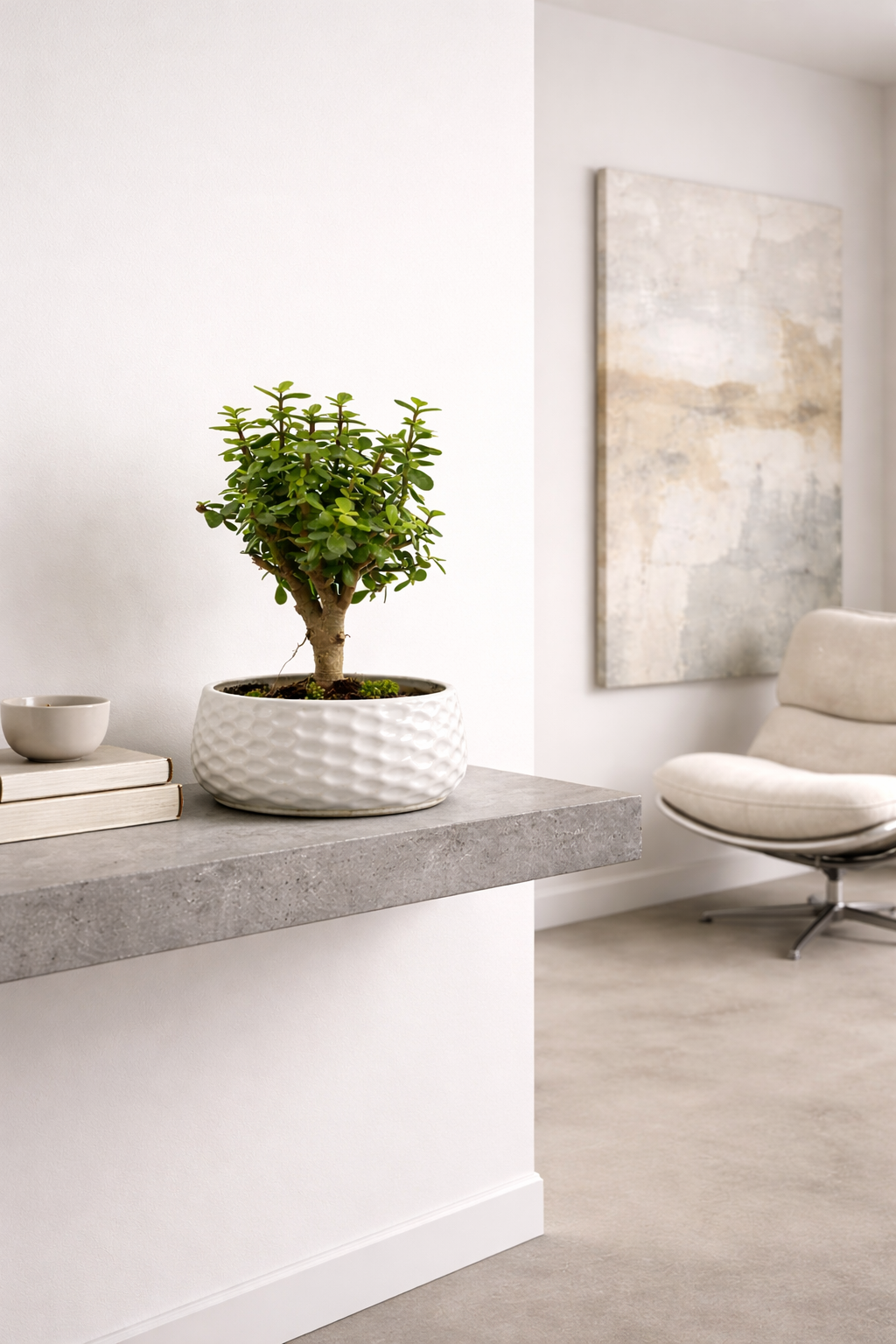 Pots & Planters